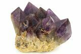 Deep Purple Amethyst Cluster - Congo #294253-1